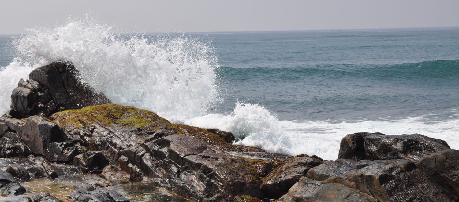 Sri Lanka landscape
