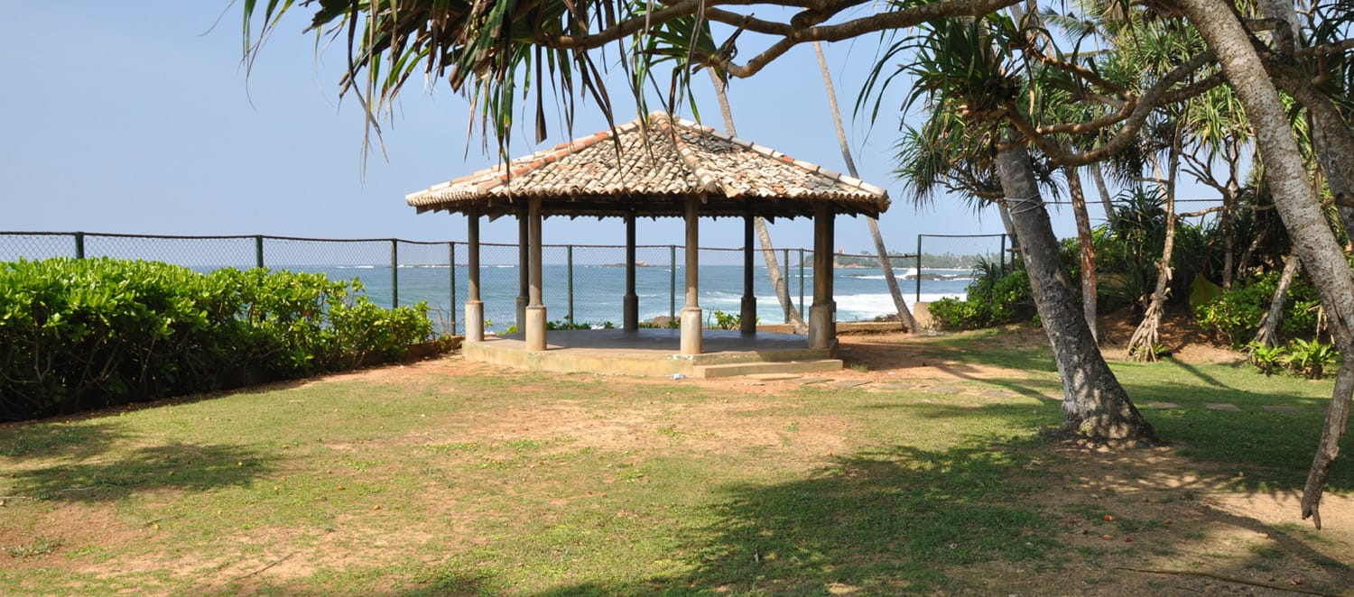 Sri Lanka landscape