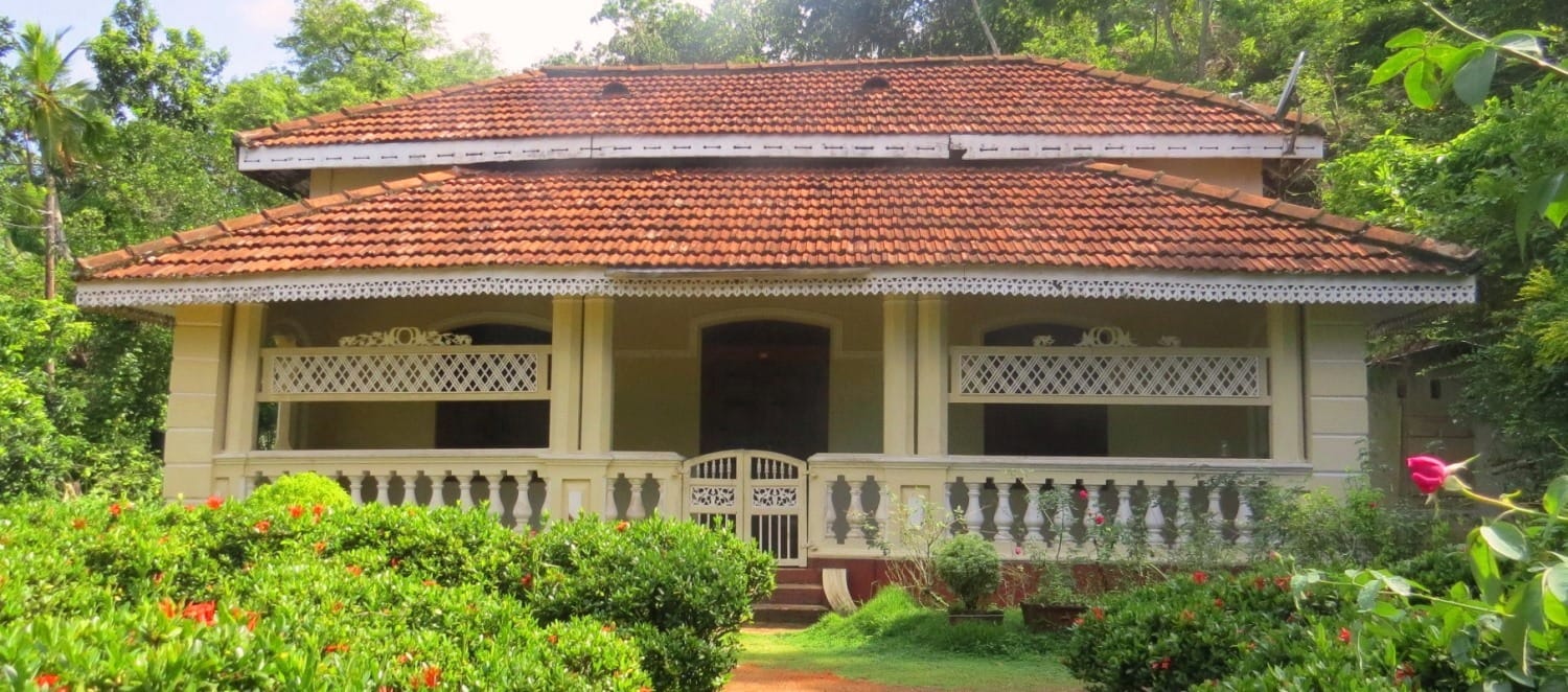 Sri Lanka landscape
