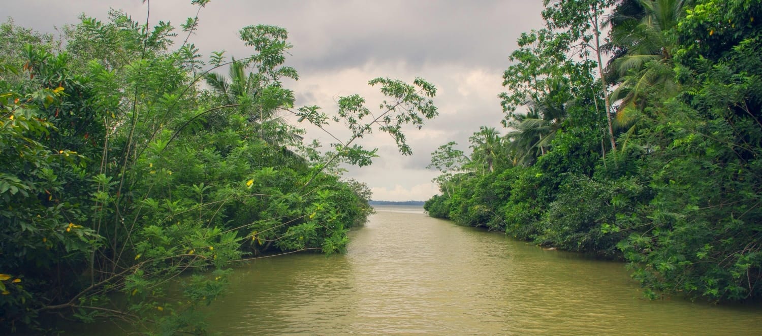 Sri Lanka landscape